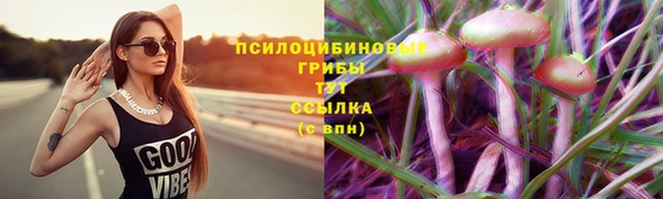 спиды Аркадак