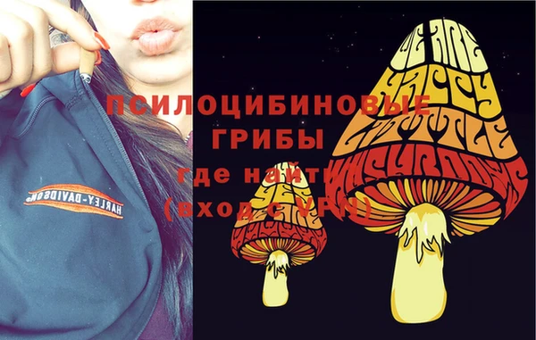 бошки Арсеньев