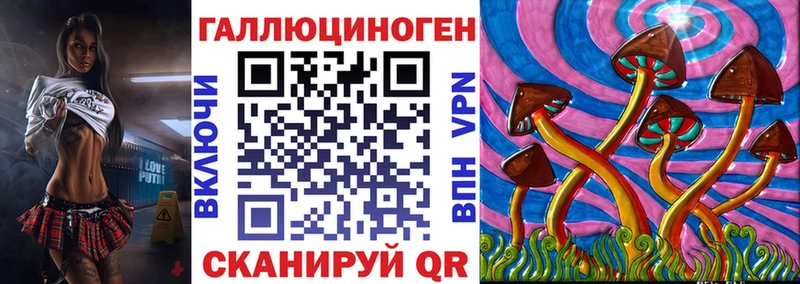 Псилоцибиновые грибы Psilocybe  Купить  Полесск 